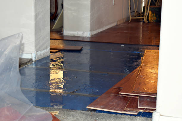 Professional Flood Cleanup technician working in Shirley Mills, ME